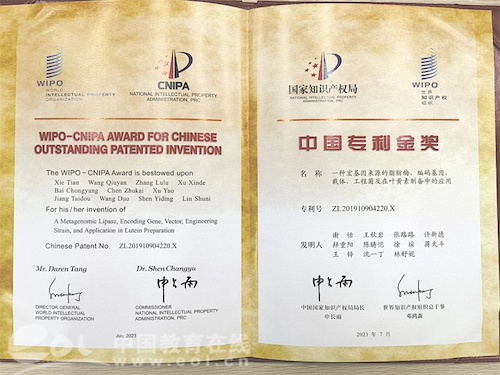 20231024 我校谢恬教授团队荣获中国发明专利金奖